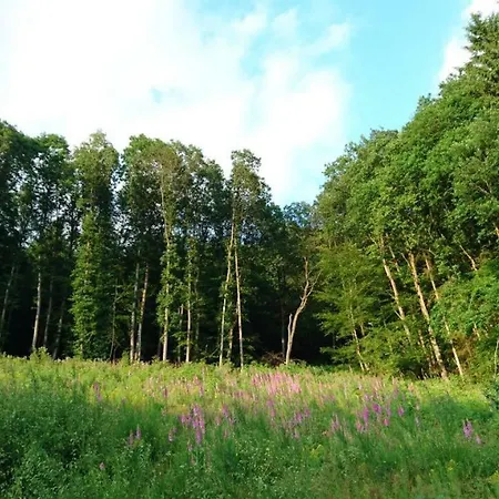 Ferienhaus 956 Дом отдыха