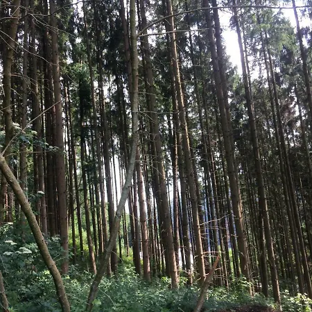 Ferienhaus 956 Бирсдорф