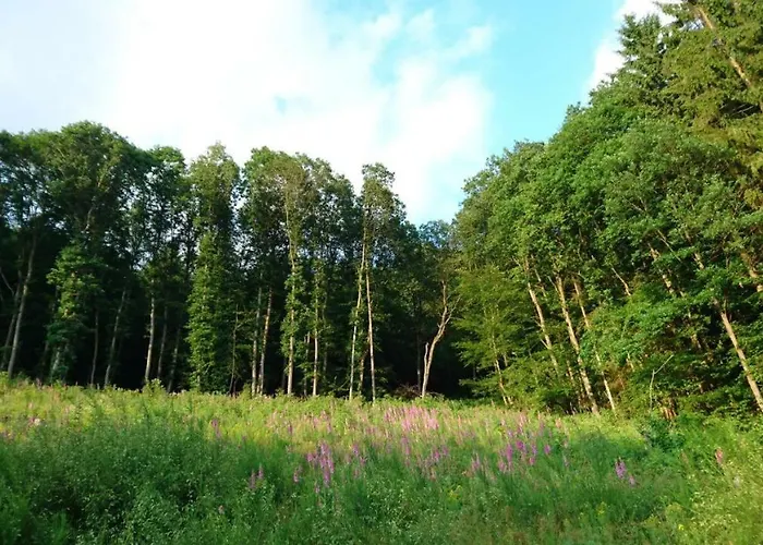 Ferienhaus 956 Prázdninový dům