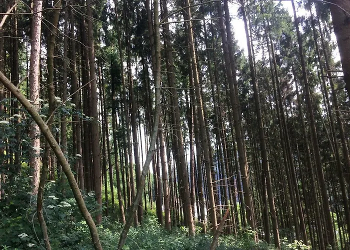 Ferienhaus 956 Biersdorf